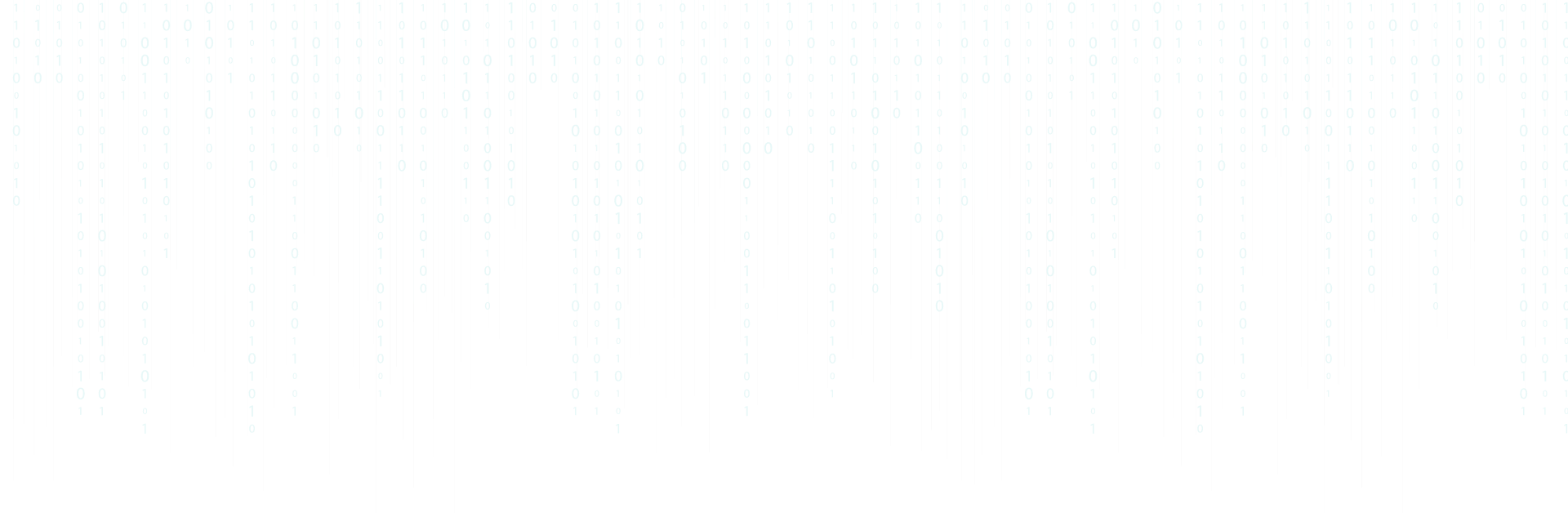 Junior {Full Stack} developper